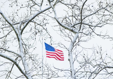 USA, New York, New York City, Snow covered tree branches and American flag.