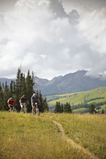 Men mountain biking on trail. Photo : Shawn O'Connor