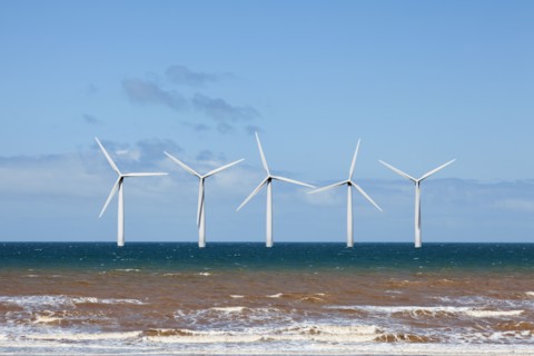 Wind turbines at sea. Photo : Jon Boyes