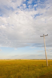 Telephone pole in prairie.