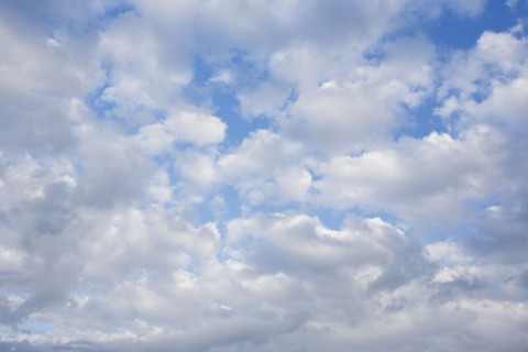 Alto Cumulus clouds. Photo : Chris Hackett