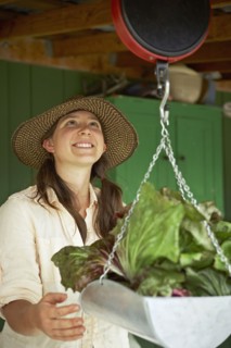 Young woman weighing cabbages. Photo : Shawn O'Connor