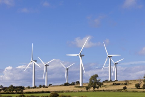 Wind turbines in field. Photo : Jon Boyes