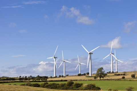 Wind turbines in field. Photo : Jon Boyes