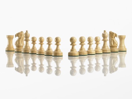 Team of chess pieces. Photo : David Arky