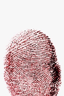 Close up of fingerprint on white background.