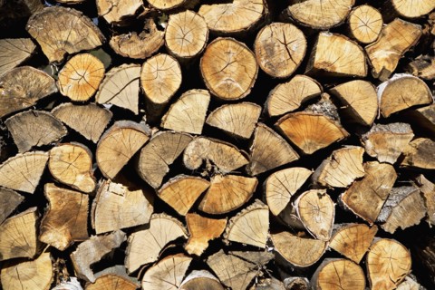 USA, Vermont, stack of firewood. Photo : fotog