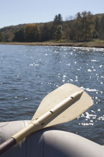 USA, Pennsylvania, Calicoon, Oar in kayak at lake. Photo : David Engelhardt