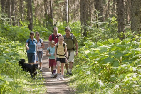 Canada, British Columbia, Fernie, family and dog hiking in forest. Photo : Dan Bannister