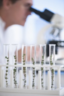 USA, New Jersey, Jersey City, Botanic laboratory.