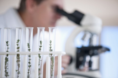 USA, New Jersey, Jersey City, Botanic laboratory.