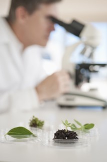 USA, New Jersey, Jersey City, Botanic laboratory.
