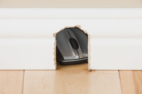 Computer mouse hidden in mouse hole. Photo : Mike Kemp
