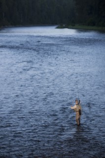 Canada, British Columbia, Fernie, Man fly fishing in river. Photo : Dan Bannister