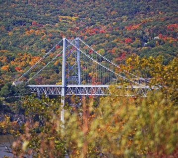 USA, New York, Bear Mountain, bridge in forest. Photo : fotog