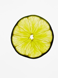 Studio shot of slice of lemon. Photo : David Arky