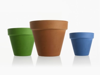 Studio shot of flower pots. Photo : David Arky