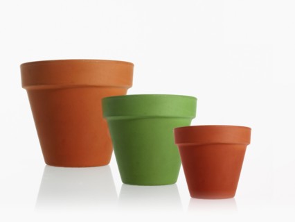 Studio shot of flower pots. Photo : David Arky