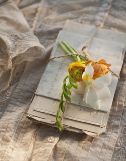 Flowers on pile of letters.