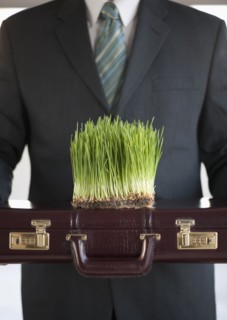 USA, New Jersey, Jersey City, Man holding growing grass in front of him.