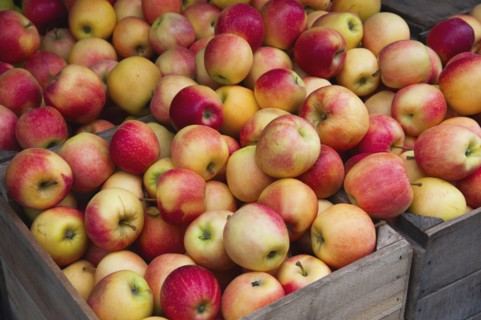 Piles of apples in crates on market stall.