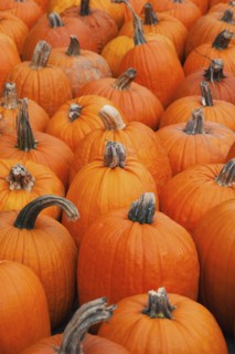 Pumpkins on market stall.