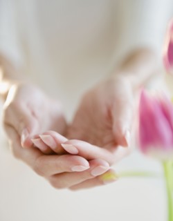 USA, New Jersey, Jersey City, Close-up view of woman's hands cupped. Photo : Jamie Grill