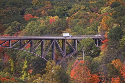 USA, New York, Bear Mountain, bridge in forest. Photo : fotog
