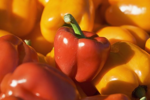 USA, Massachusetts, Boston, bell peppers. Photo : fotog