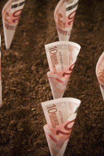 Rolled up ten euro notes stuck in ground. Photo : Mike Kemp