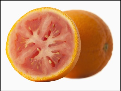 Mixture of orange and tomato. Photo : Mike Kemp