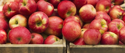 USA, New York, New York City, Apples in crate.