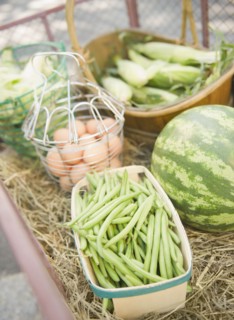 USA, New York, Flanders, Organic beans, watermelon, eggs, and corn. Photo : Jamie Grill Photography