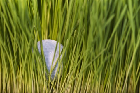 USA, New Jersey, Jersey City, Close-up view of golf ball in grass. Photo : Daniel Grill