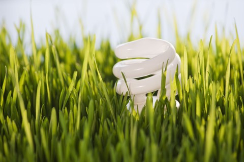 USA, New Jersey, Jersey City, Close-up view of energy efficient bulb sticking out of grass. Photo :