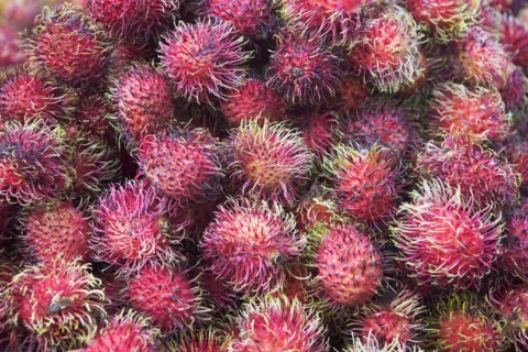 USA, New York City, heap of rambutans. Photo : fotog