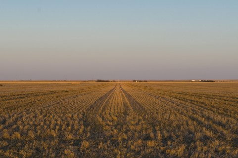 USA, Kansas, field. Photo : Gary J Weathers