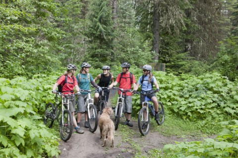 Canada, British Columbia, Fernie, Group of five people and dog enjoying mountain biking. Photo :