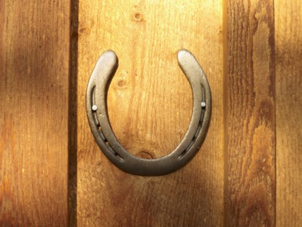 USA, Colorado, Horseshoe hanging on wooden wall, close-up. Photo : John Kelly