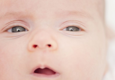 USA, New Jersey, Jersey City, baby girl (2-5 months) portrait. Photo : Jamie Grill Photography