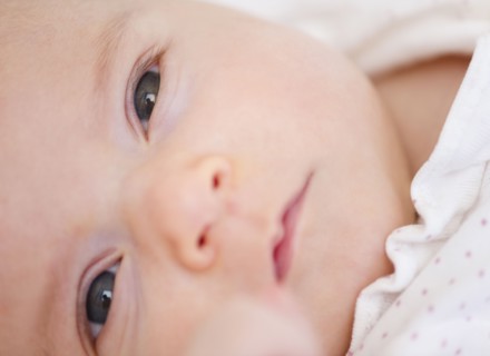 USA, New Jersey, Jersey City, baby girl (2-5 months) portrait. Photo : Jamie Grill Photography