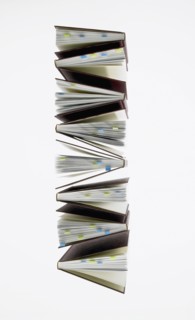 Studio shot of books in row. Photo : David Arky