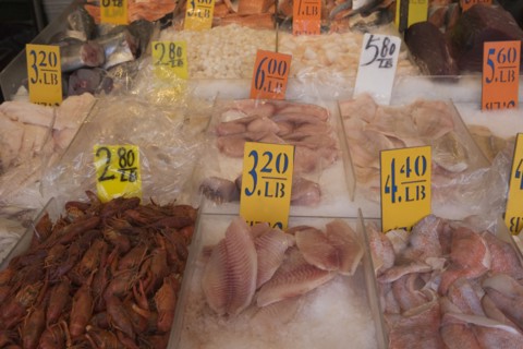 USA, New York City, market stall with seafood. Photo : fotog