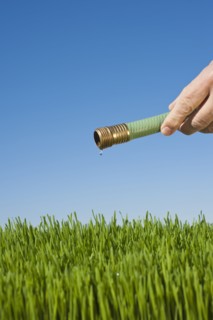 Man watering grass using hose.