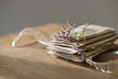 Lavender stem on stack of letters.