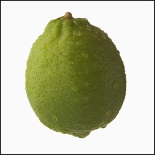 Studio Shot of lime. Photo : Mike Kemp