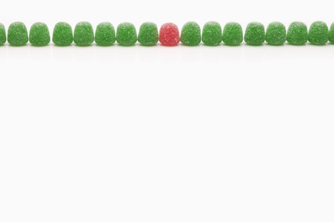 Line of green jellies and one red. Photo : FBP