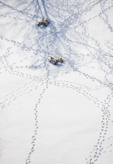 USA, New York State, Croton on Hudson, Footprints in snow. Photo : fotog