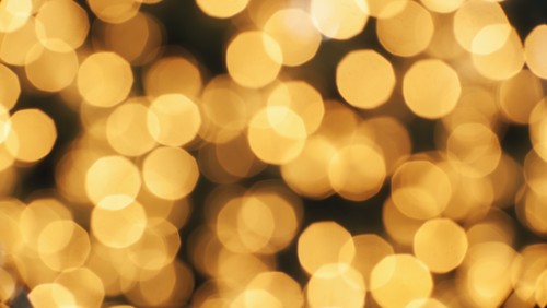 Illuminated Christmas tree lights.