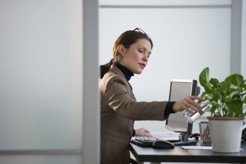 Portrait of young woman in office.